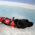 Hydrotherapy