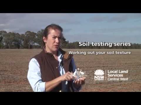 How to test your soil - texture (sand, silt, clay composition)