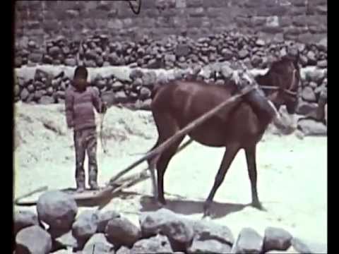 Busra in Syria - Roman theatre and wedding, 1972