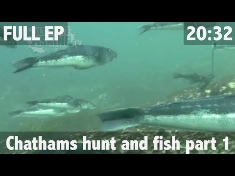 Hunting and Fishing Chatham Island style in HD - ULTIMATE FISHING TV