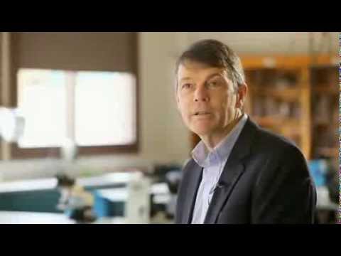 Doctor of Veterinary Medicine - The University of Melbourne