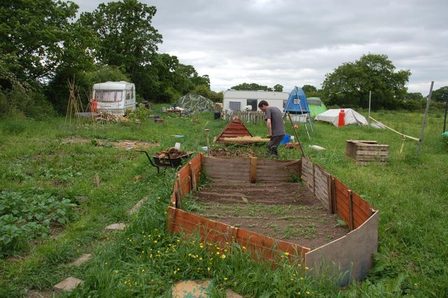 The organic vegetable garden