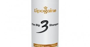 Lipogaine big 3 hair loss shampoo