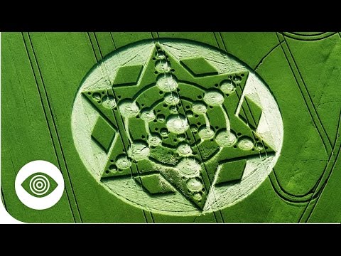 Do Crops Circles Prove Aliens Exist?