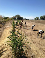 Nihigaal bee lina Walkers Lend a Hand in Shiprock