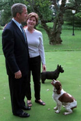 President Bush and Laura Bush with their dogs, Barney and Spot.