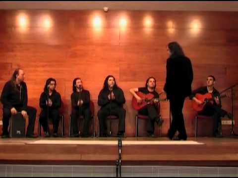 Noches de Flamenco - Noche gitana