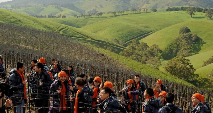 Wine distributors from China visit the Barossa Valley