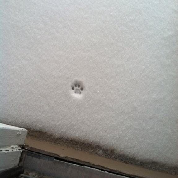 The-littlest-nope-ever1