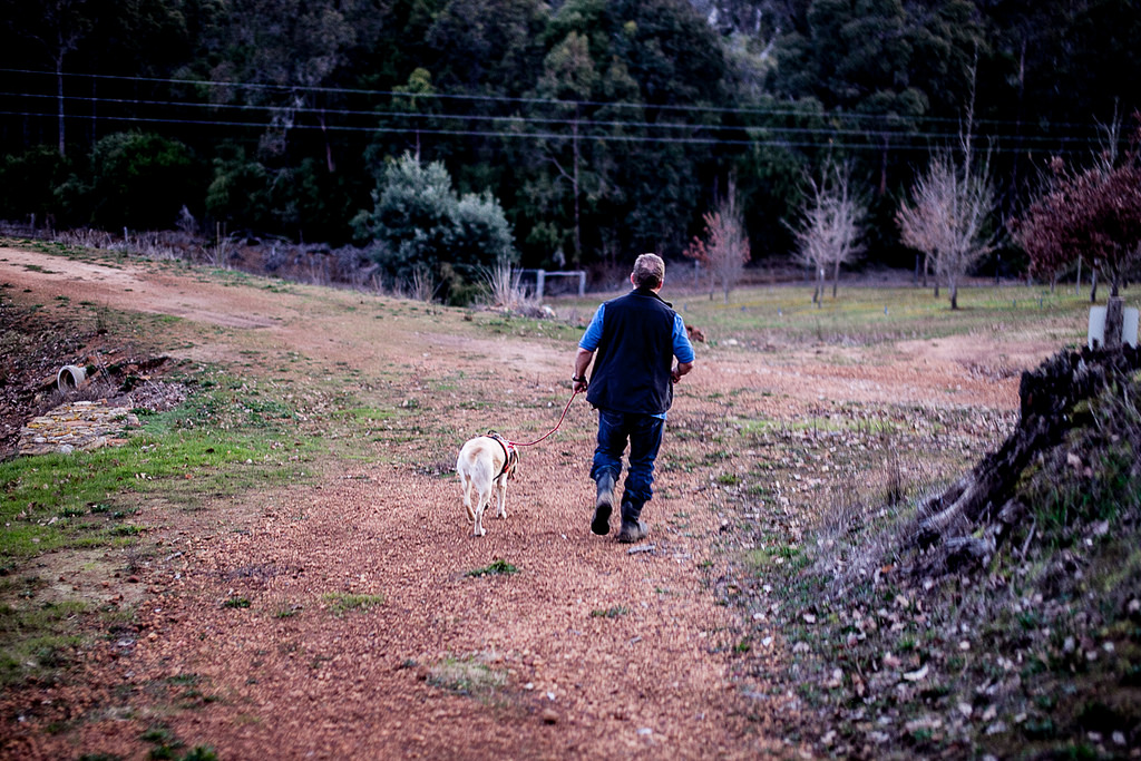 Stonebarn Lodge and Truffle farm