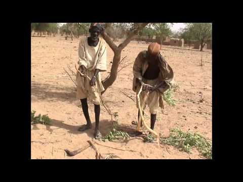 Smelting Iron in Africa