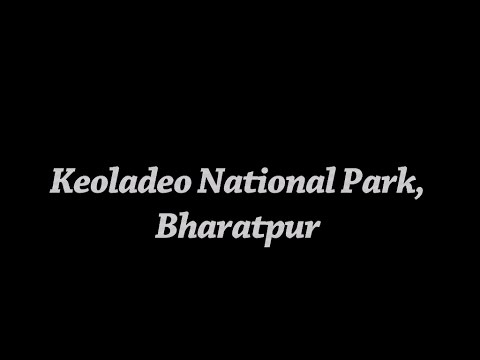 India's birding paradise - Keoladeo National Park, Bharatpur