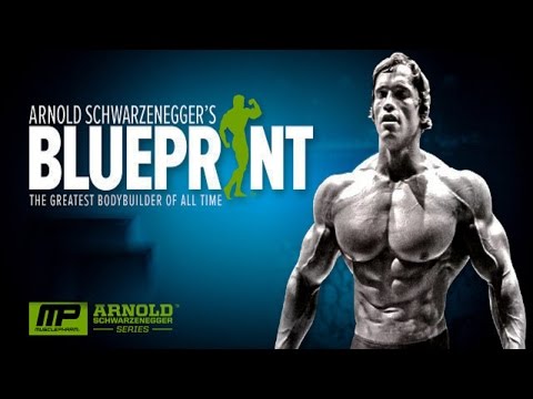 Arnold Schwarzenegger Blueprint [Bodybuilding Motivation]