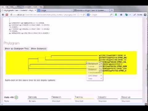 Bioinformatics practical 5 Phylogenetic tree construction