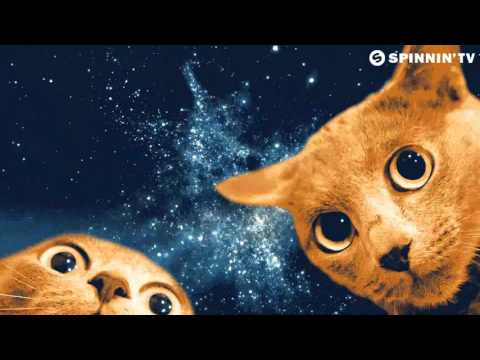 Ummet Ozcan - Spacecats (Official Music Video)