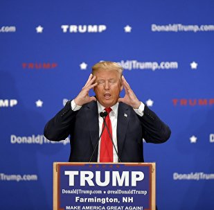 US Republican presidential candidate Donald Trump addresses the crowd at a campaign rally in Farmington, New Hampshire January 25, 2016.