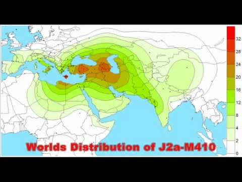 The TRUTH about The Haplogroup J (Y-DNA)