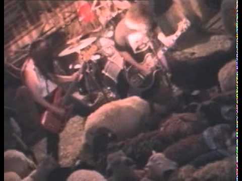 Melvins-Honey Bucket (Music Video)