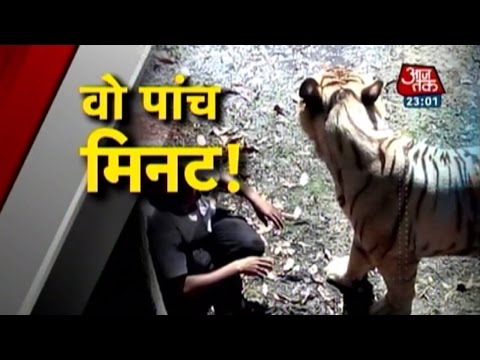 Vardaat: White tiger mauls youth in Delhi zoo (PT-1)