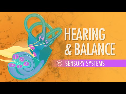 Hearing & Balance: Crash Course A&P #17