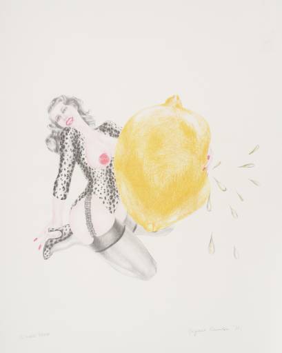 Margaret Harrison, 'Take One Lemon' 1971