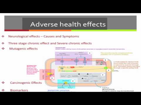 Environment 310 : Arsenic Toxicology