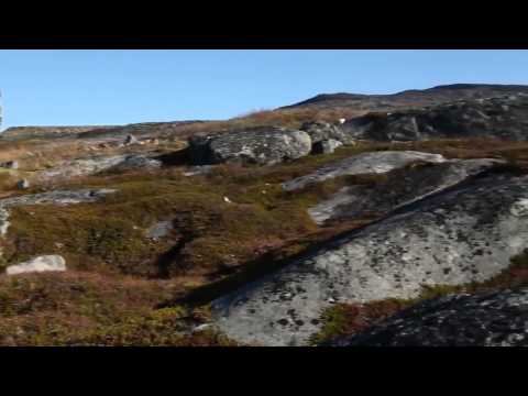 GREENLAND Largest Ice Body In The World , Natural Documentary, National Geographic, Discov