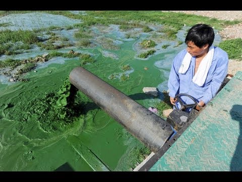 Move Over, Smog: China's Water Pollution Off the Charts (LinkAsia: 3/1/13)