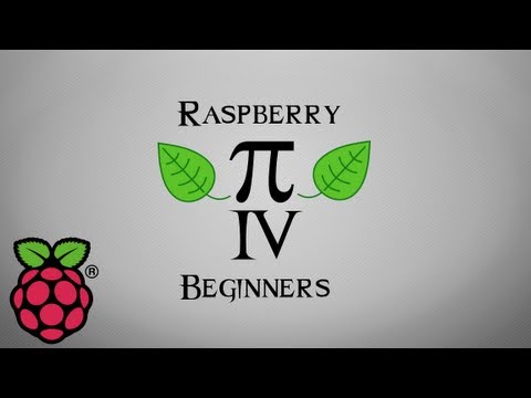 Raspberry Pi - How to use the GPIO