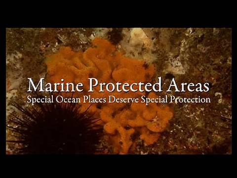 Marine Protected Areas: Special Ocean Places Deserve Special Protection - Part 1 of 2