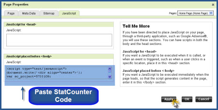 GoDaddy - Paste StatCounter Code