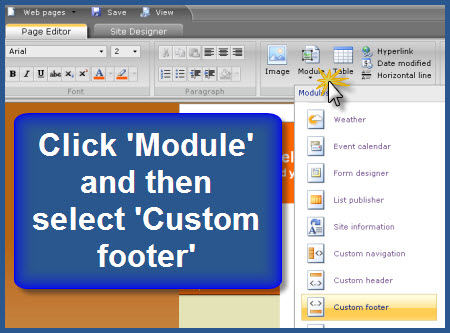 Microsoft Office Live - Module - Custom Footer