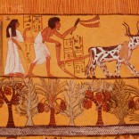 Before the rise of the plough, society in Egypt was matriarchal