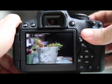 Canon T4i(650D) Live view options and Focusing Tips