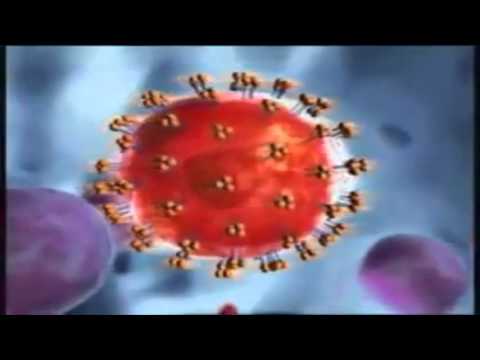 Sex Education 5 - Sexually Transmitted Infections (STIs)