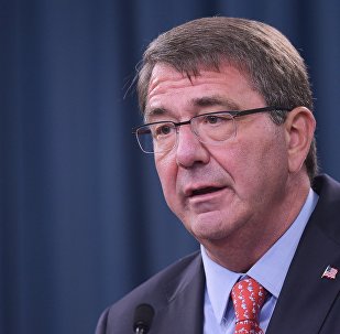 US Defense Secretary Ashton Carter