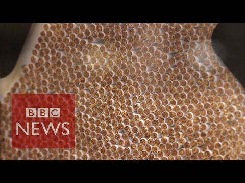 The Secret Bribes of Big Tobacco - BBC News