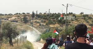 Teargas being shot by Israeli Forces towards peaceful protesters