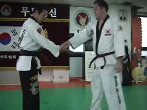 Hapkido Techniques