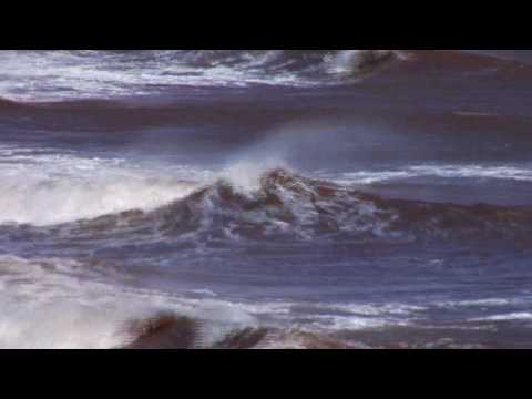 Bay of Fundy | Tides | New Brunswick, Canada