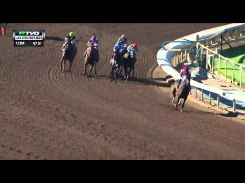 RACE REPLAY: 2016 Las Virgenes Stakes Featuring Songbird