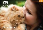 Click here for more information about Pet Parent Award: Cat