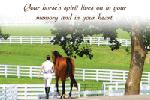 Click here for more information about Pet Memorial Card: Horse