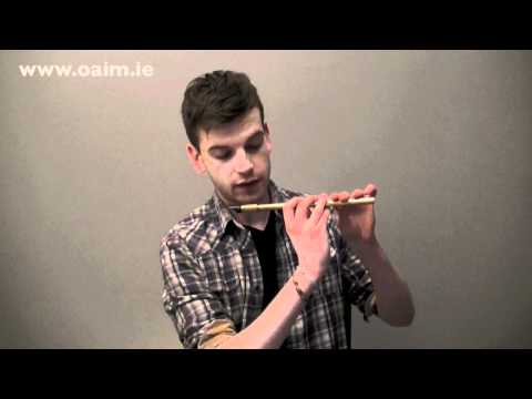 Expert Irish Tin Whistle Lessons from Online Academy of Irish Music with Thomas Johnston