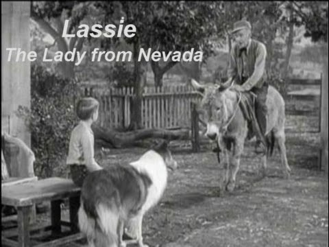 Lassie - Episode #318 - "The Lady from Nevada" - Season 9, Ep 27 - 04/14/1963