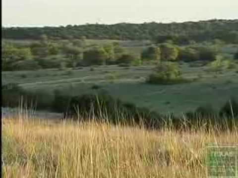 Edwards Plateau Eco-Region- Texas Parks and Wildlife- [Official]