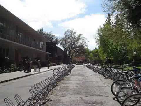 The Streets of Chico California and Chico State!