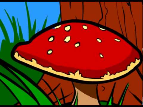 Badgers : animated music video : MrWeebl