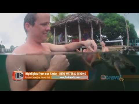 Swim with Turtles in Savaii Samoa 2013, Travel Video Guide