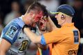 Nasty cut: Ross Haylett-Petty of the Western Force is treated for a head wound.